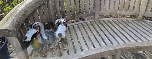 Metal dogs on bench