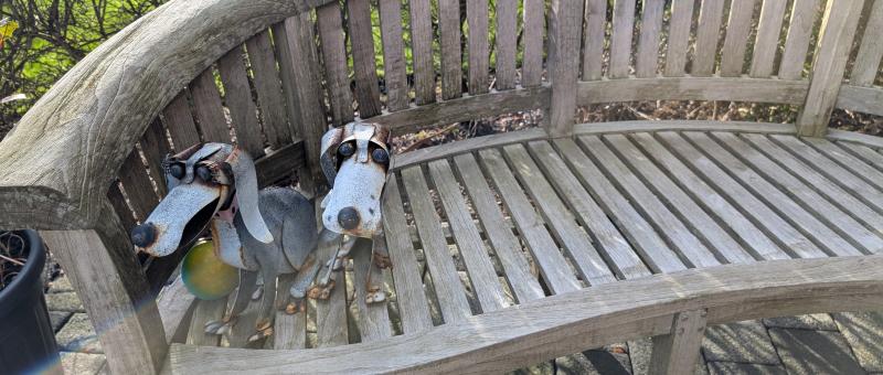 Metal dogs on bench
